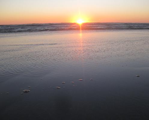 Grayland Beach sunset ocean view sandy beaches
