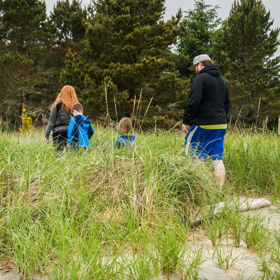 family walking through tall grasses along the marsh trail