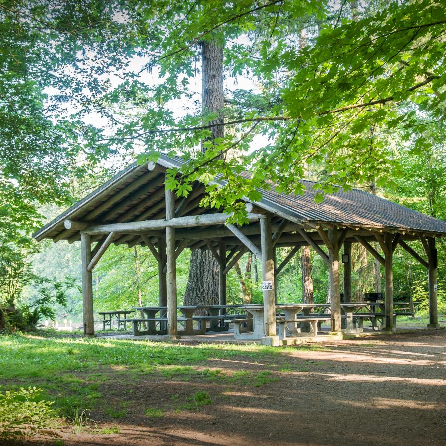 A log picnic shelter with a brown metal roof sits on a green grassy lawn with picnic tables under the awning and evergreen trees and green shrubs surrounding it. The lake and blue sky can be seen in the background.